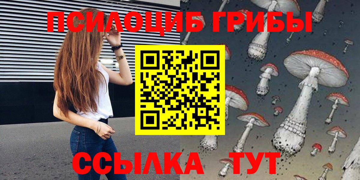 Псилоцибиновые грибы мухоморы  где продают наркотики  Щёлково  Вход с VPN 